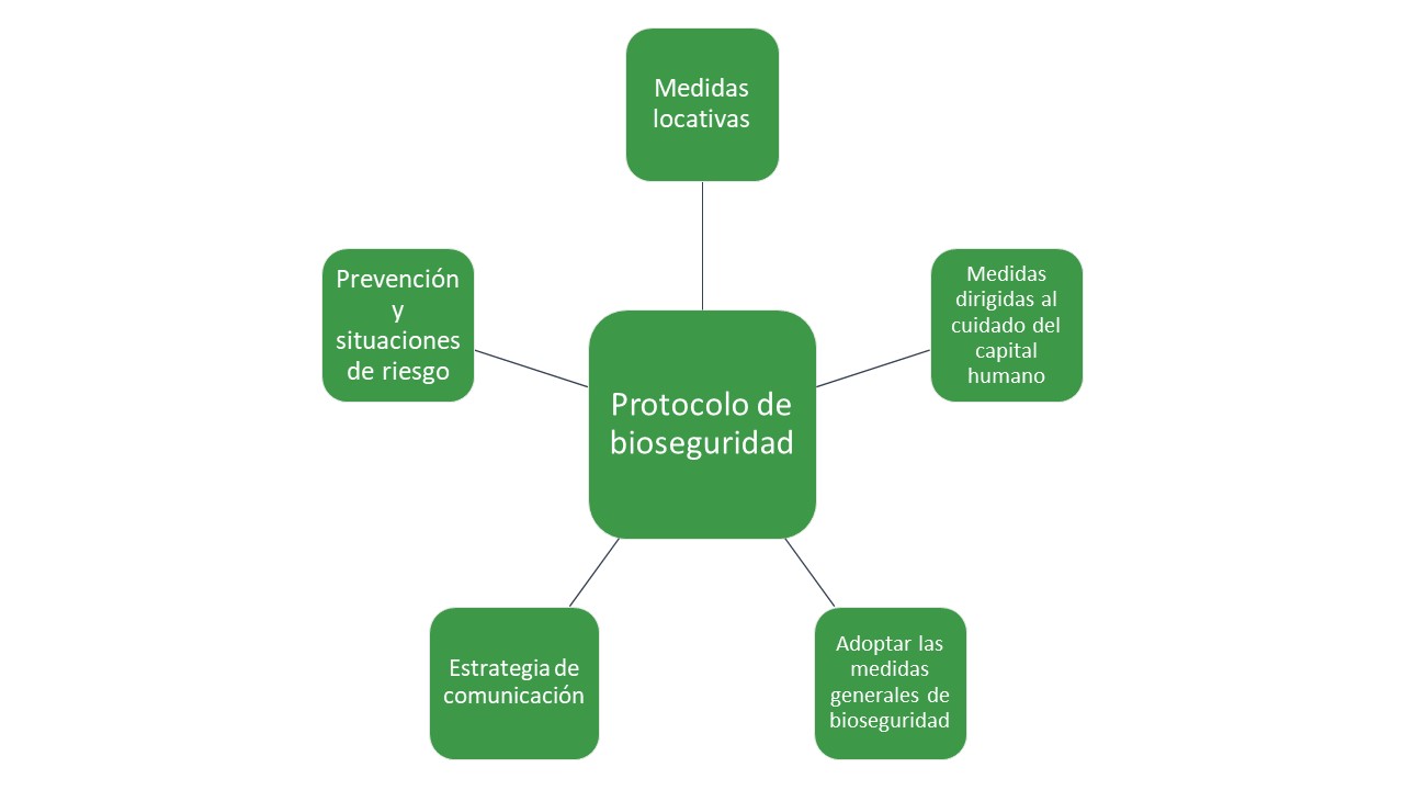 protocolos de bioseguridad