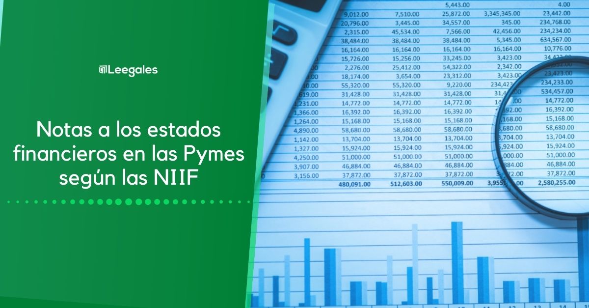 Estados financieros consolidados en las NIIF para Pymes 1